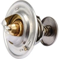 New Holland (CNH) Thermostat New Holland 87803664