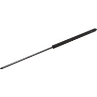 Gas strut L755mm 250N CA512425250