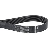 Weidemann V-belt 1000309814
