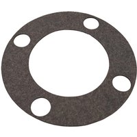 Ambrogio Gasket L25Z05700A