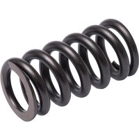 Walterscheid Compression spring 1169998