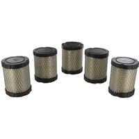 Briggs & Stratton Filter bulk pack (5x 591583) 4269