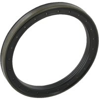 Case IH (CNH) Oil Seal CNH 311569A1