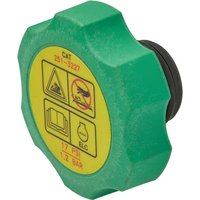 Caterpillar Cap 2513227
