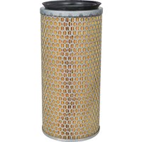 MANN-FILTER Air filter element C141792