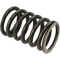 Vapormatic Valve spring (x8) VPA2010