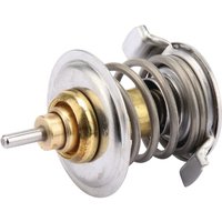 SDF Thermostat 04516486