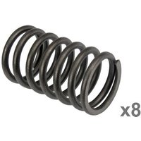 Vapormatic Valve Spring (x8) VPA2019