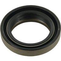 Case IH (CNH) Oil seal Case IH 3224342R1