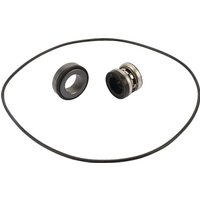 Hypro Silicon Carbide Seal kit 34300589