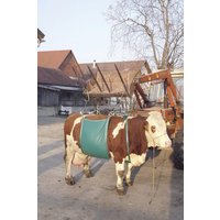 Kerbl Cow lifting device VV1049