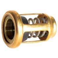 FPT Industrial Oil Pressure valve 4896410FPT