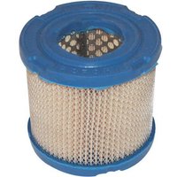 Briggs & Stratton Air filter (4106) 393957S