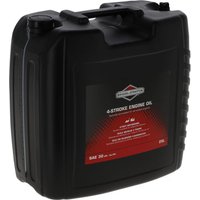 Briggs & Stratton Engine oil, 25l, mineral, SAE 30W by 100046E