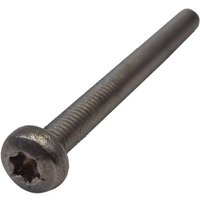Ambrogio Screw C02269