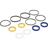 Carraro Seal kit CI049214