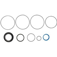 White Gasket set 151F0117 OMS9AFDPTO