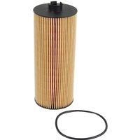 DEUTZ Oil filter 2931095