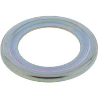 CNH Retainer 4997436