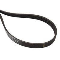 Massey Ferguson (AGCO) V-belt 4281725M1
