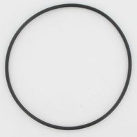 Niemeyer O-ring 550594