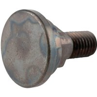 AS-Motor Blade bolt E11697ASM