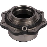 Spicer Dana Wheel Hub 3429975M3N