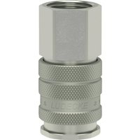 Lüdecke Q-Rel coup with 3/8" BSP F/Thd ESI38I