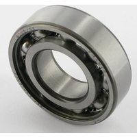 Lely Bearing 6205 C5 9100101292