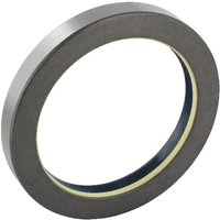 New Holland (CNH) Seal 5123205