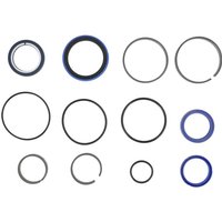 Kubota Seal kit RG26871550