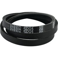Etesia V-belt ET28012