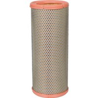 MANN-FILTER Air filter element C13109