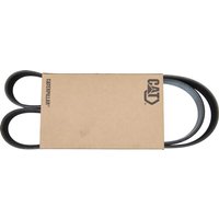 Caterpillar Belt 4220662