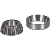 Spicer Dana Tapered roller bearing 005103860