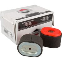 Briggs & Stratton Filter bulk pack, 5 x 796970 4238