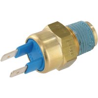Massey Ferguson (AGCO) temperature sensor 4223862M1
