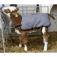 Kerbl Calf blanket 80cm VV14156