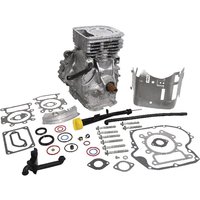 Briggs & Stratton Short block model 31 vertical 592059A
