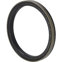 Kramer Shaft seal 1000087865