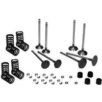 Vapormatic Valve kit VPA6025
