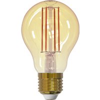 Link2Home Wi-Fi LED ES (E27) GLS Filament Dimmable Bulb 5.5W L2HFE276W