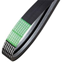 Optibelt Belt set, 2 pcs 0005440491AB2