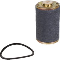 SDF Fuel Filter 001203480