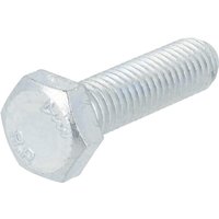Agria Hexagon screw 00151