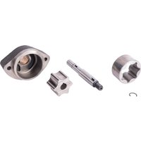 Raico Engine Oil Pump 004415246N
