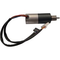 Ambrogio Wheel motor 015Z13600AR