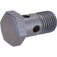 DEUTZ Hollow screw 02937881