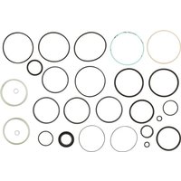 Trioliet-Mullos Seal kit 0500542