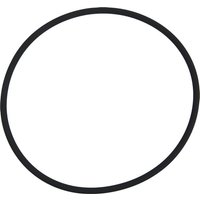 ZF O-ring 0634313809
